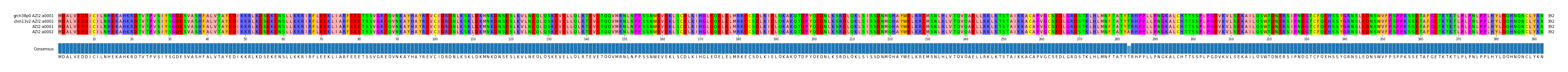 Multiple Alignments (by translate haplotype similarity)