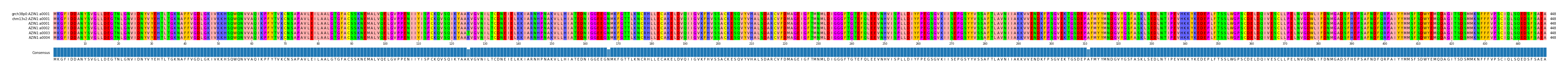 Multiple Alignments (by translate haplotype frequency)