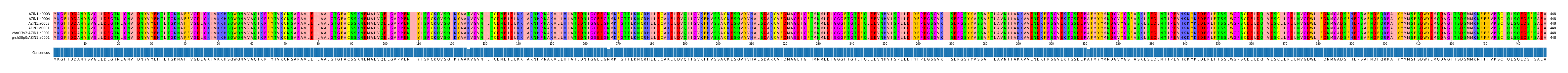 Multiple Alignments (by translate haplotype similarity)