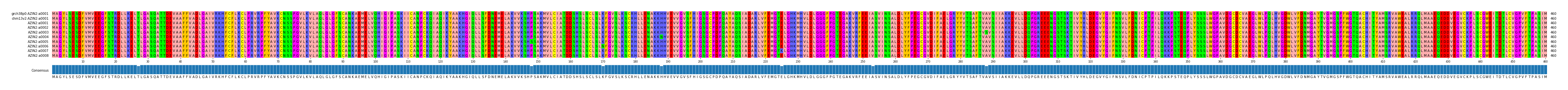 Multiple Alignments (by translate haplotype frequency)