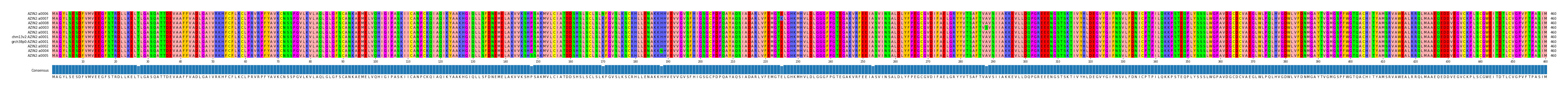 Multiple Alignments (by translate haplotype similarity)