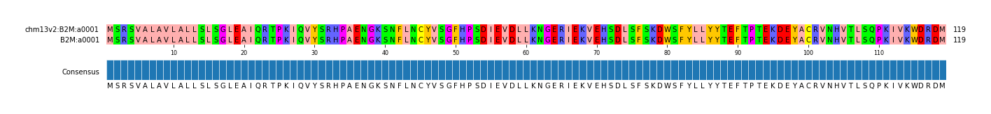Multiple Alignments (by translate haplotype similarity)