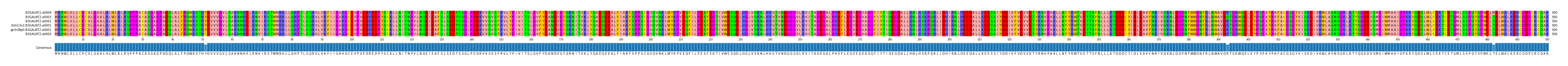 Multiple Alignments (by translate haplotype similarity)