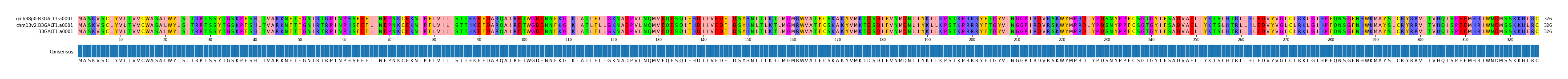 Multiple Alignments (by translate haplotype similarity)