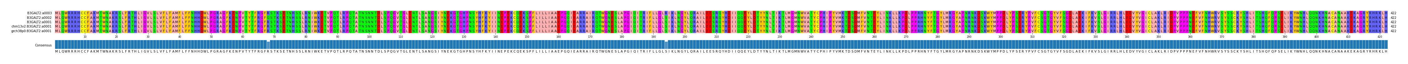 Multiple Alignments (by translate haplotype similarity)