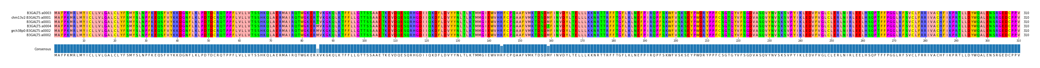 Multiple Alignments (by translate haplotype similarity)