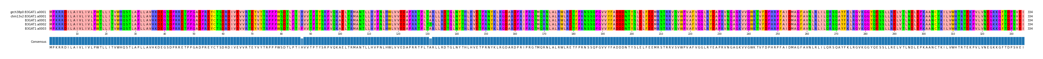 Multiple Alignments (by translate haplotype frequency)
