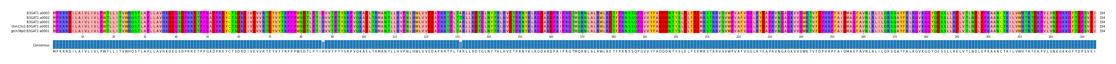 Multiple Alignments (by translate haplotype similarity)