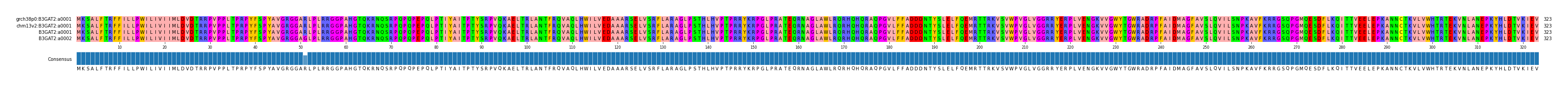 Multiple Alignments (by translate haplotype frequency)