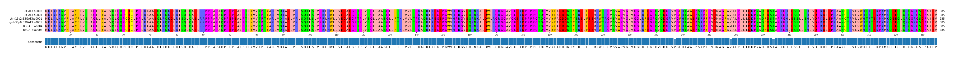 Multiple Alignments (by translate haplotype similarity)