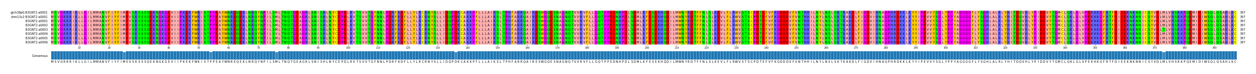 Multiple Alignments (by translate haplotype frequency)