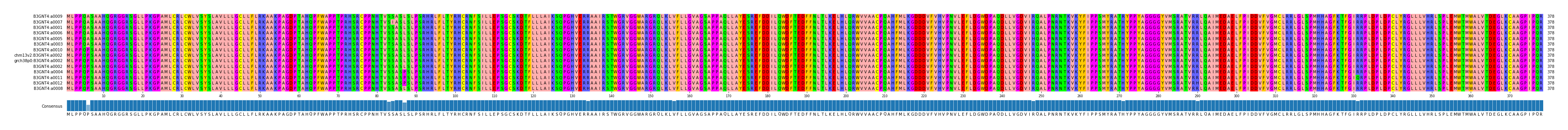Multiple Alignments (by translate haplotype similarity)