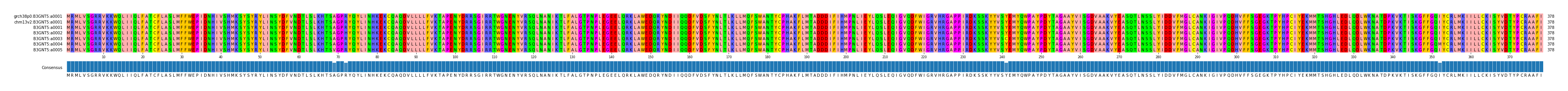 Multiple Alignments (by translate haplotype frequency)