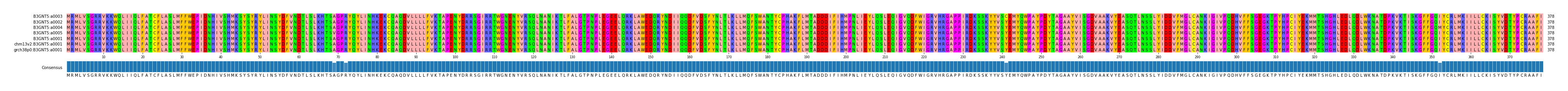 Multiple Alignments (by translate haplotype similarity)