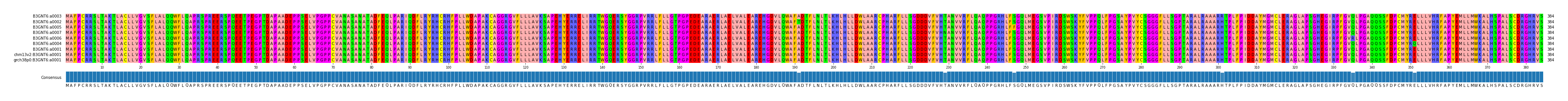 Multiple Alignments (by translate haplotype similarity)