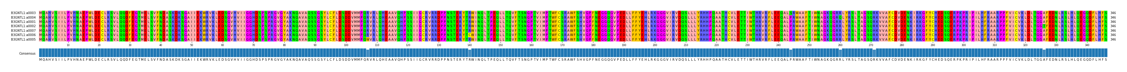 Multiple Alignments (by translate haplotype similarity)