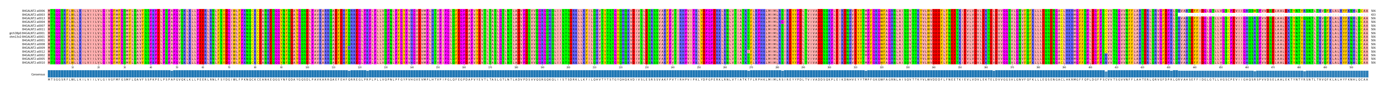 Multiple Alignments (by translate haplotype similarity)