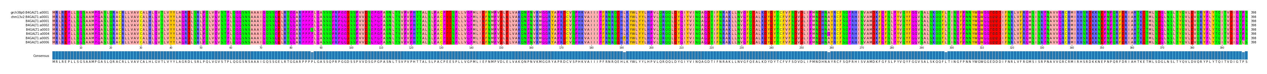 Multiple Alignments (by translate haplotype frequency)