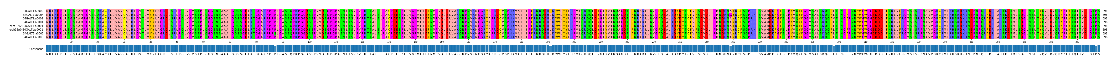 Multiple Alignments (by translate haplotype similarity)