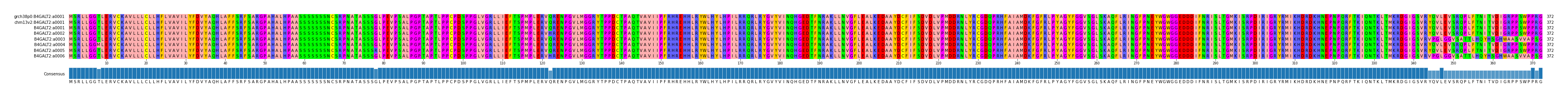 Multiple Alignments (by translate haplotype frequency)