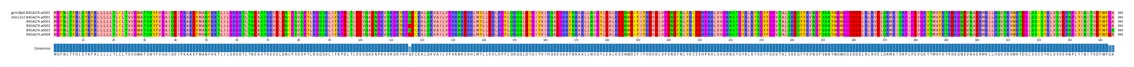 Multiple Alignments (by translate haplotype frequency)