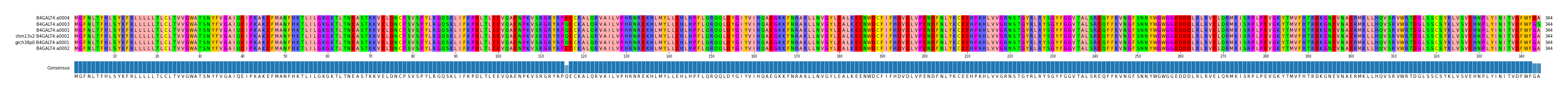 Multiple Alignments (by translate haplotype similarity)