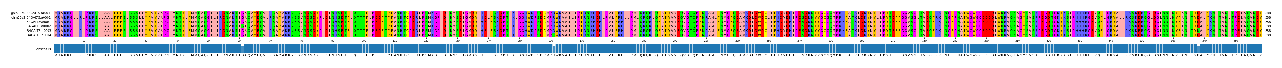Multiple Alignments (by translate haplotype frequency)