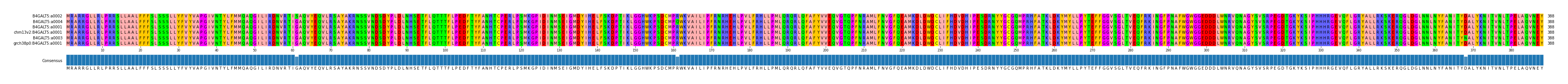 Multiple Alignments (by translate haplotype similarity)
