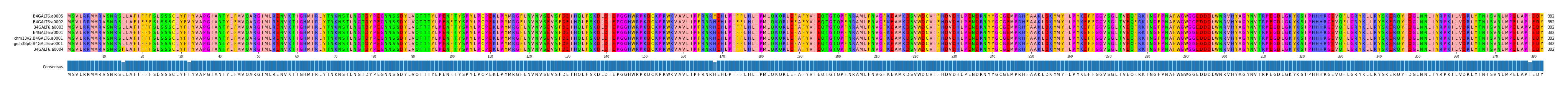 Multiple Alignments (by translate haplotype similarity)