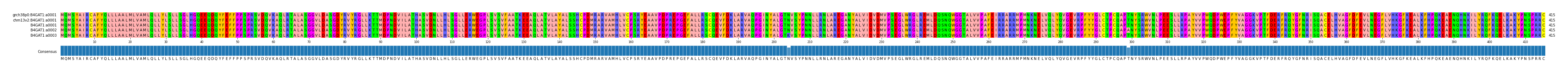 Multiple Alignments (by translate haplotype frequency)
