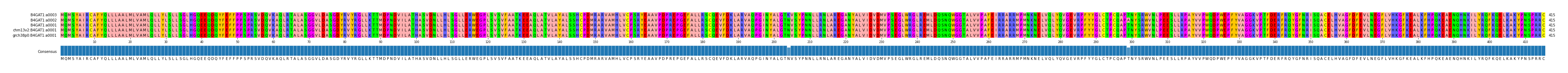 Multiple Alignments (by translate haplotype similarity)