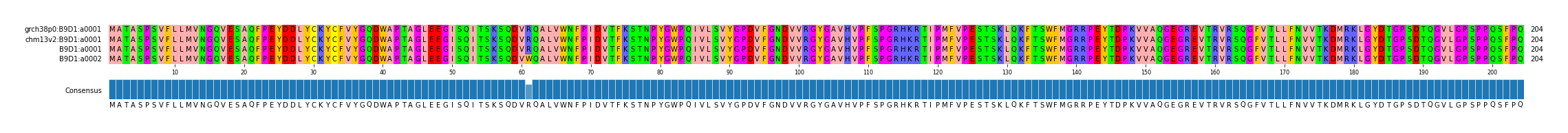 Multiple Alignments (by translate haplotype similarity)