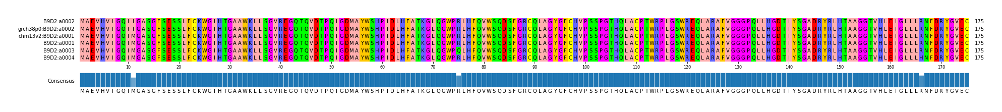 Multiple Alignments (by translate haplotype similarity)