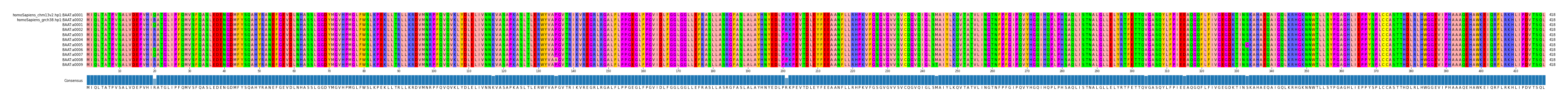 Multiple Alignments (by translate haplotype frequency)