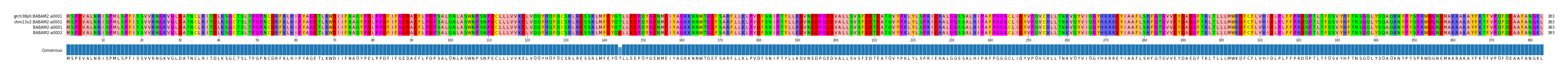 Multiple Alignments (by translate haplotype similarity)