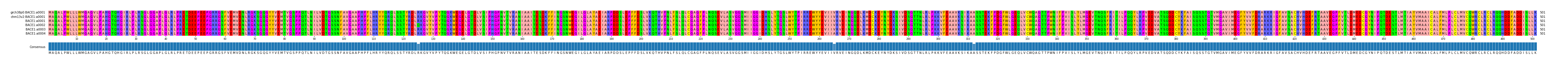 Multiple Alignments (by translate haplotype frequency)