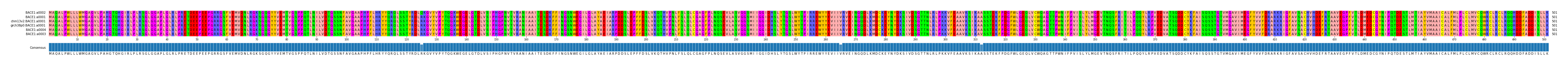 Multiple Alignments (by translate haplotype similarity)