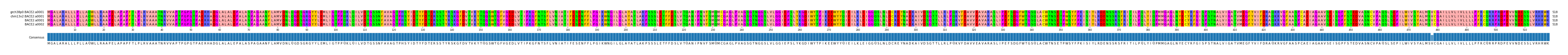 Multiple Alignments (by translate haplotype frequency)