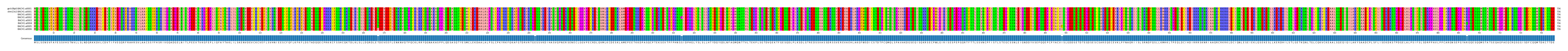 Multiple Alignments (by translate haplotype frequency)