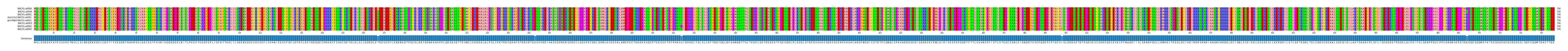 Multiple Alignments (by translate haplotype similarity)