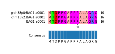 Multiple Alignments (by translate haplotype similarity)