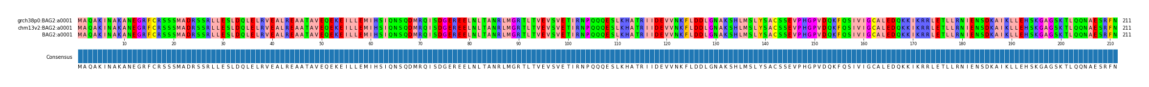 Multiple Alignments (by translate haplotype frequency)