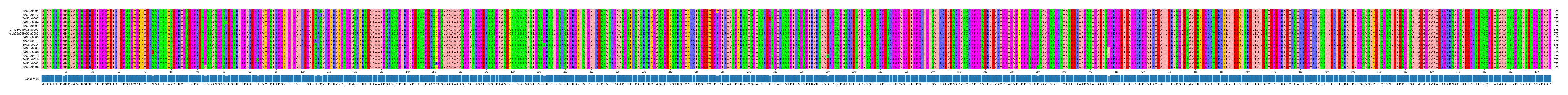 Multiple Alignments (by translate haplotype similarity)