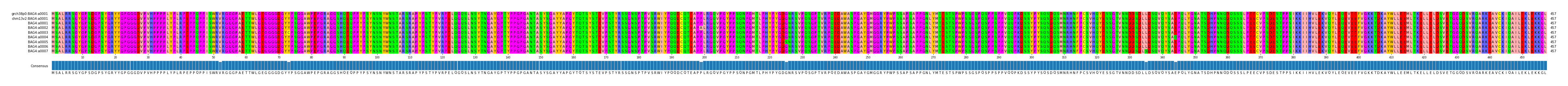 Multiple Alignments (by translate haplotype frequency)