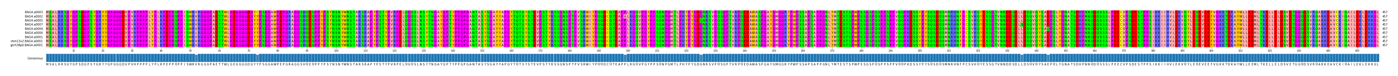 Multiple Alignments (by translate haplotype similarity)
