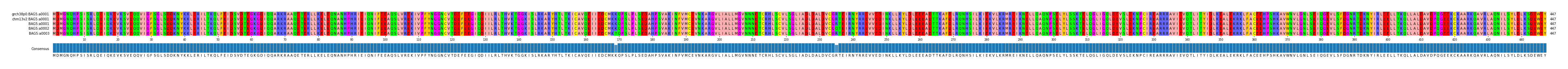 Multiple Alignments (by translate haplotype frequency)