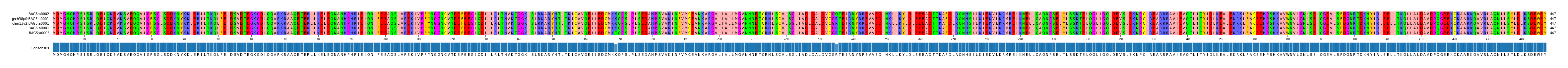 Multiple Alignments (by translate haplotype similarity)