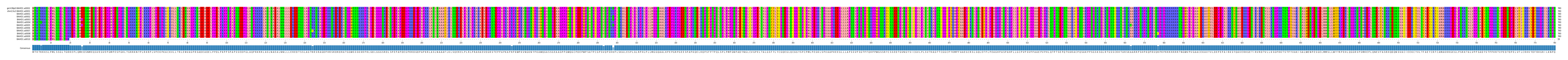 Multiple Alignments (by translate haplotype frequency)