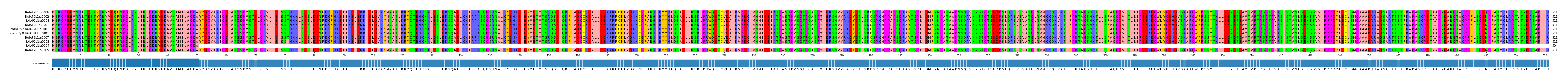 Multiple Alignments (by translate haplotype similarity)