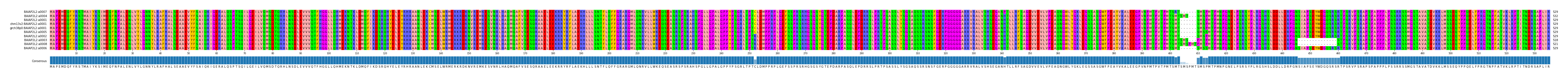 Multiple Alignments (by translate haplotype similarity)
